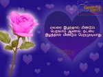Best Quotes In Tamil About Friendship