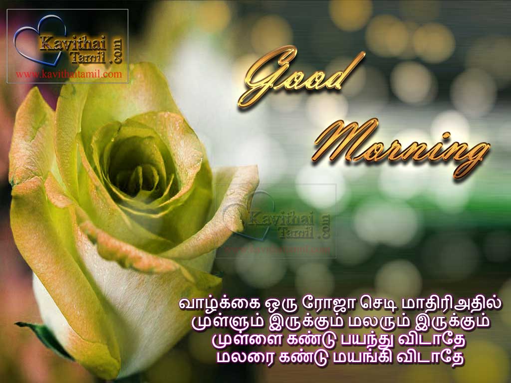 Mtovational And Inspirational Tamil Good Morning Quotes Kavithai Greetings For Wishing Friends And Family With Super Words And Thoughts