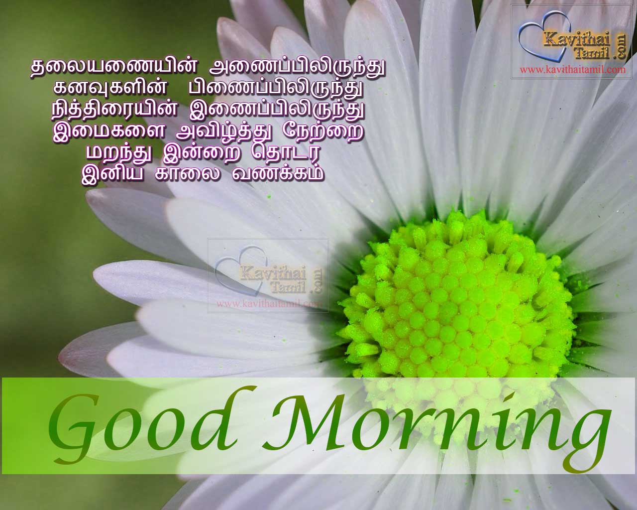 Super Good Morning Wishing Greetings In Tamil Language With Super Tamil kavithai Varigal lines For Wishing Facebook And Whatsapp Friend