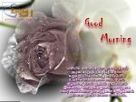 New And Cute Rose Good Morning Greetings