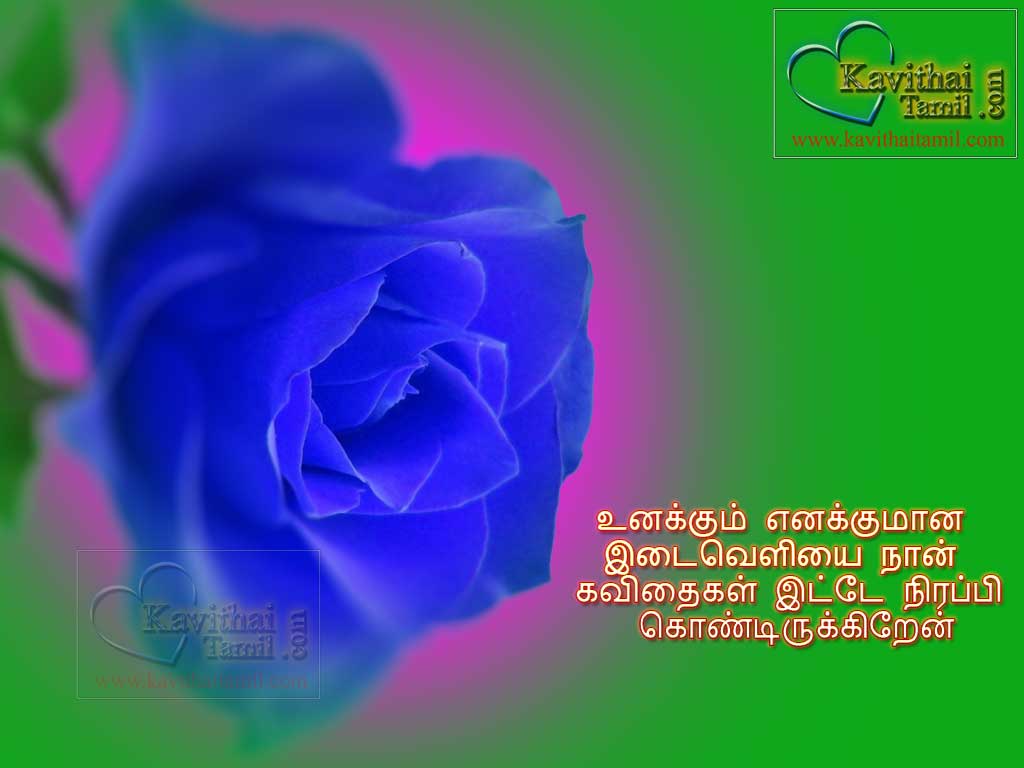 Tamil Anbu Kathal Love Kavithai For Missing And Breakup Lovers With Beautiful Roja Lines Images Pirivu
