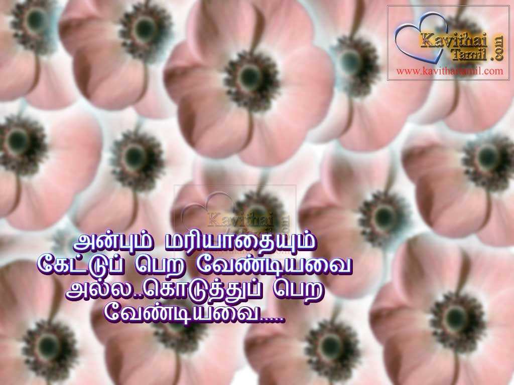 Tamil Kavithaigal About Anbum Mariyathayum Beautiful Tamil Kavithai Varigal (lines) With pictures