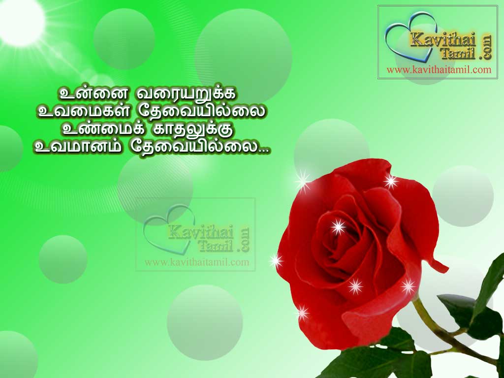 Tamil Cute Love Kavithaigal Images WIth Rose Flowers Best Kathal Kavithaigal