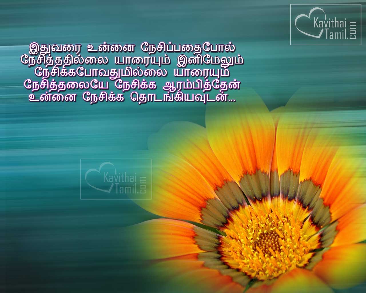 Tamil Love Best Kavithai Images 