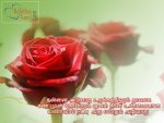 True Friendship Tamil Wallpapers For Status Images