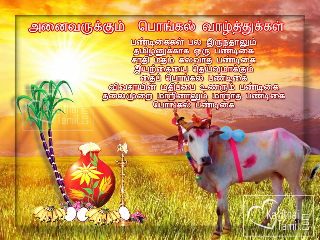 Pongal Wishes 2016 Greetings Messages Sms Happy Pongal Hd Wallpapers For Fb Cover Photos
