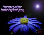 Tamil Miss You Poem Images For Fb Share