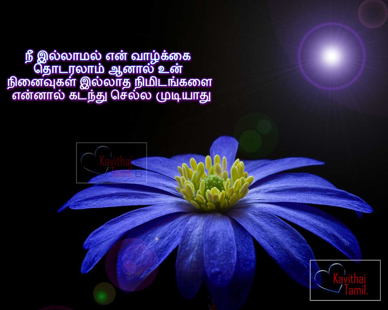 Latest Tamil Love Sad Feeling Messages Tamil Love Poems With Superb Hd Background Images 