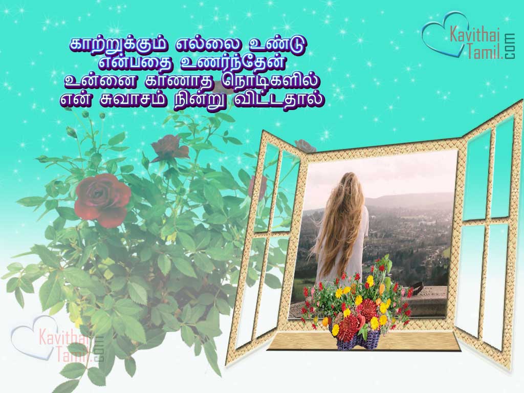 Collections Of Sad Love Quotes In Tamil Kathal Pirivu Kavithaigal With Hd Images For Your Boyfriend