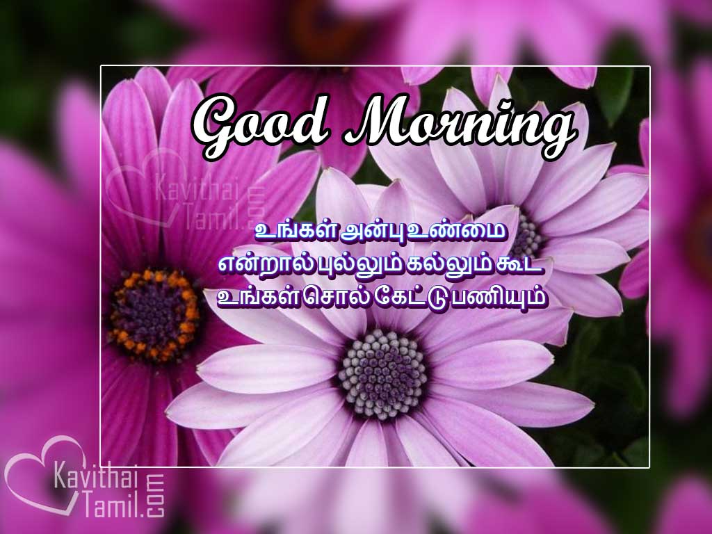 Kaalai Vanakam Greetings And Images With Good Thoughts Tamil Quotes For Wishing Friends