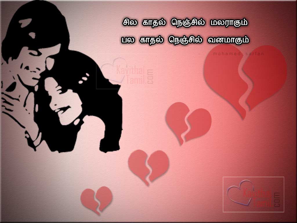 Mohamed Sarfan Heart Touching Tamil True Love Poems And Images For Share With Friends