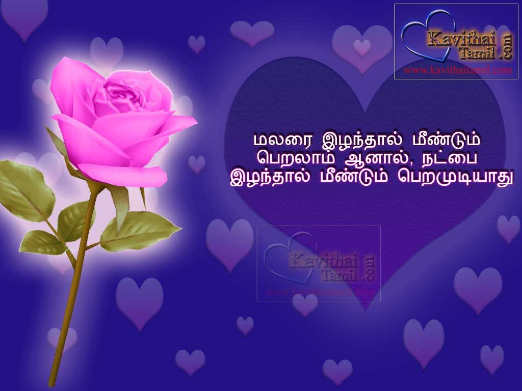 Tamil Natpu Kavithai With Roja (Rose) Flower Images Beautiful And Cute Friendship Kavithaigal