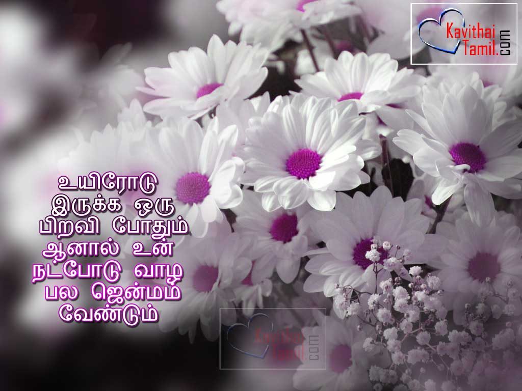 110+ Best Tamil Friendship Quotes And Natpu Kavithaigal ...