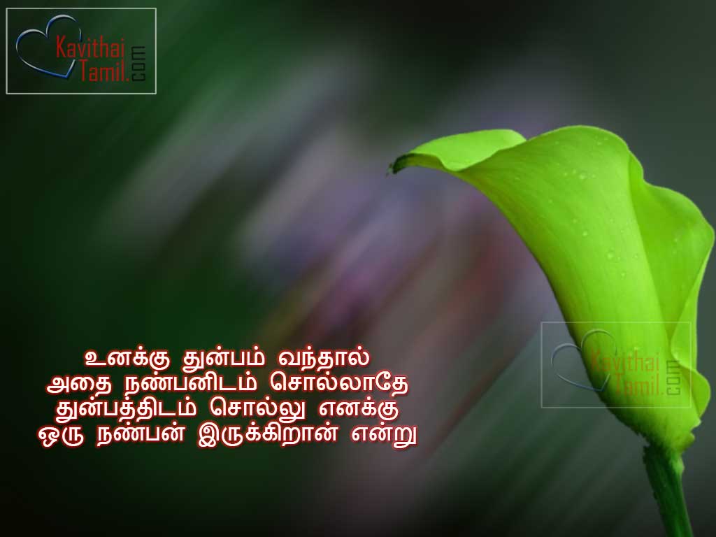 Tamil Quotes Images About True Friendship | KavithaiTamil.com
