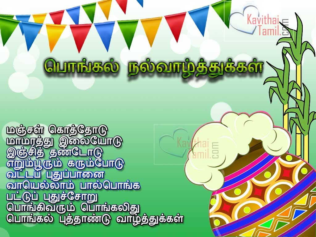 Pongal Festival Tamil Wishes Pongal Tamil Short Poems With High Quality Images For Share On Facebook