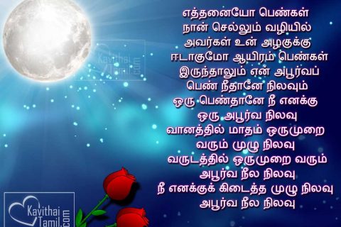 Beautiful Nila Kavithai Varigal Tamil Poem Lines About Moon With Pictures.